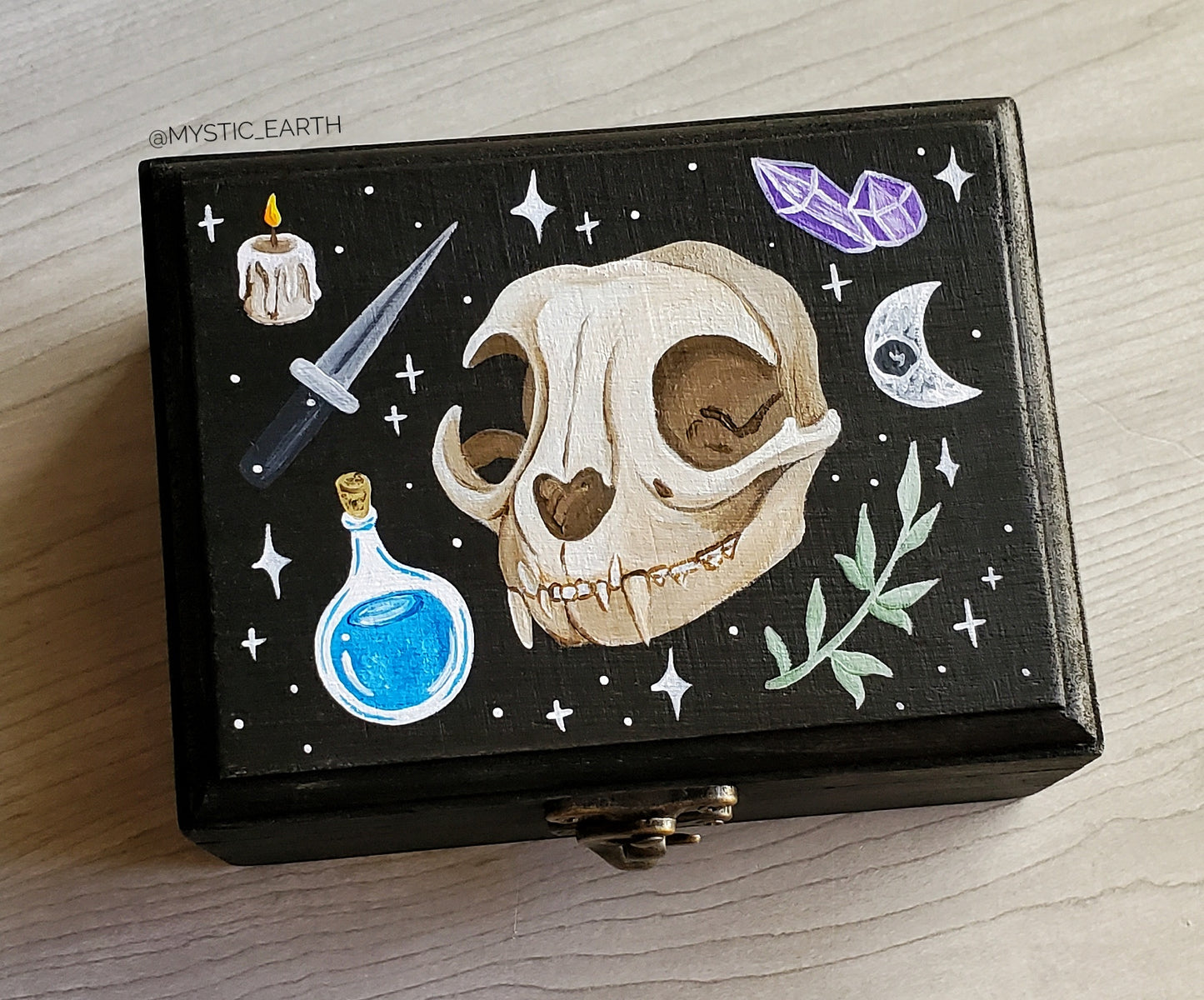 Cat Skull Hidden Gem Box