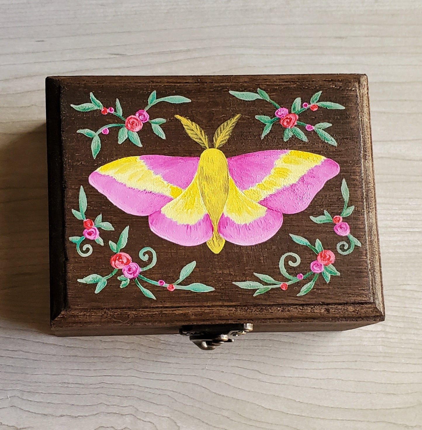 Rosy Maple Moth Hidden Gem Box