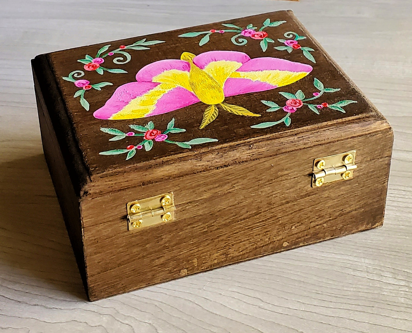 Rosy Maple Moth Hidden Gem Box