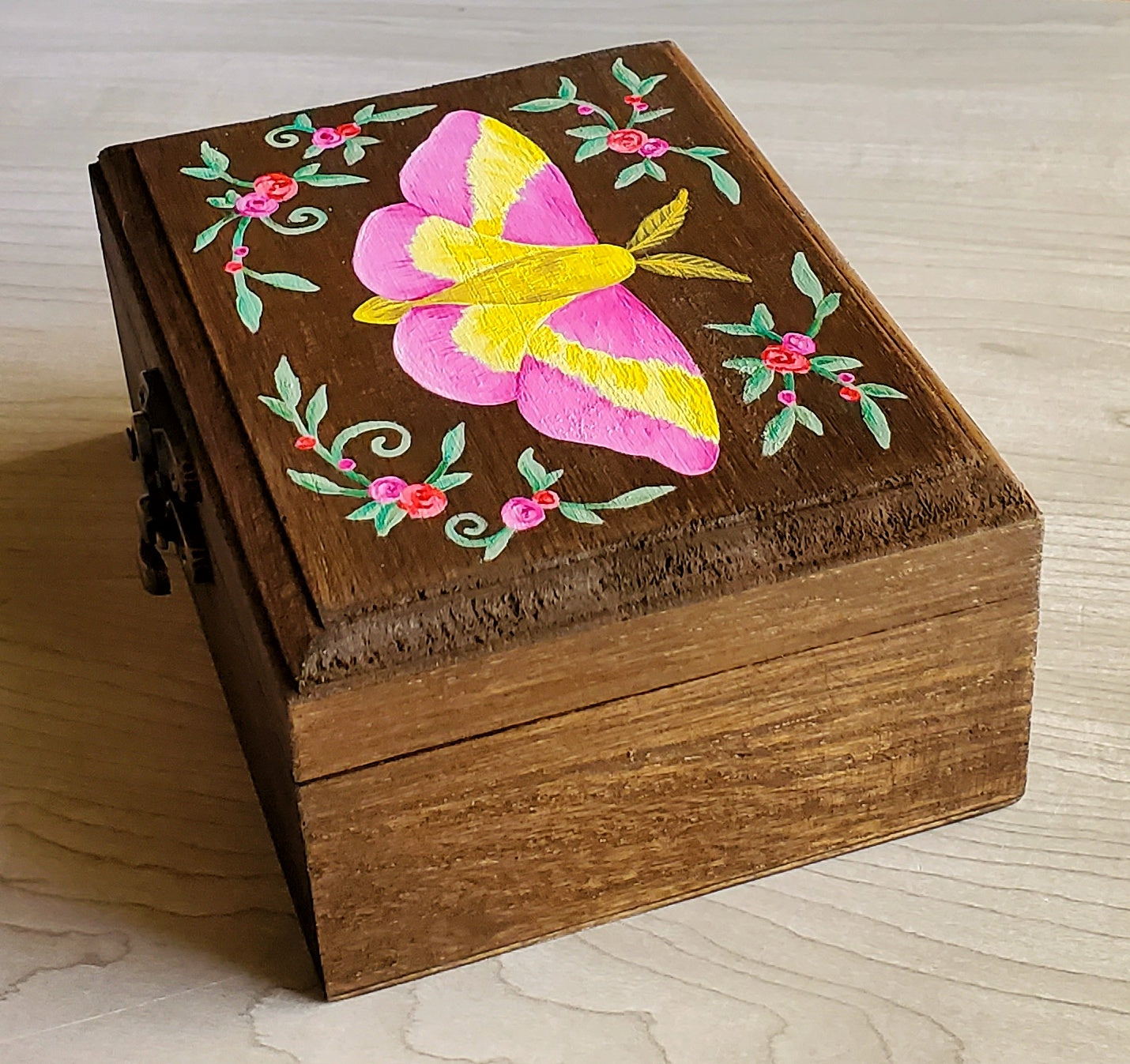Rosy Maple Moth Hidden Gem Box