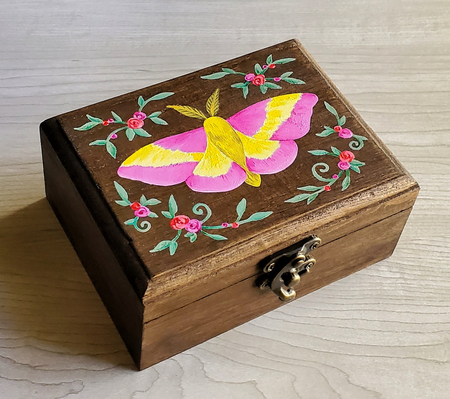 Rosy Maple Moth Hidden Gem Box
