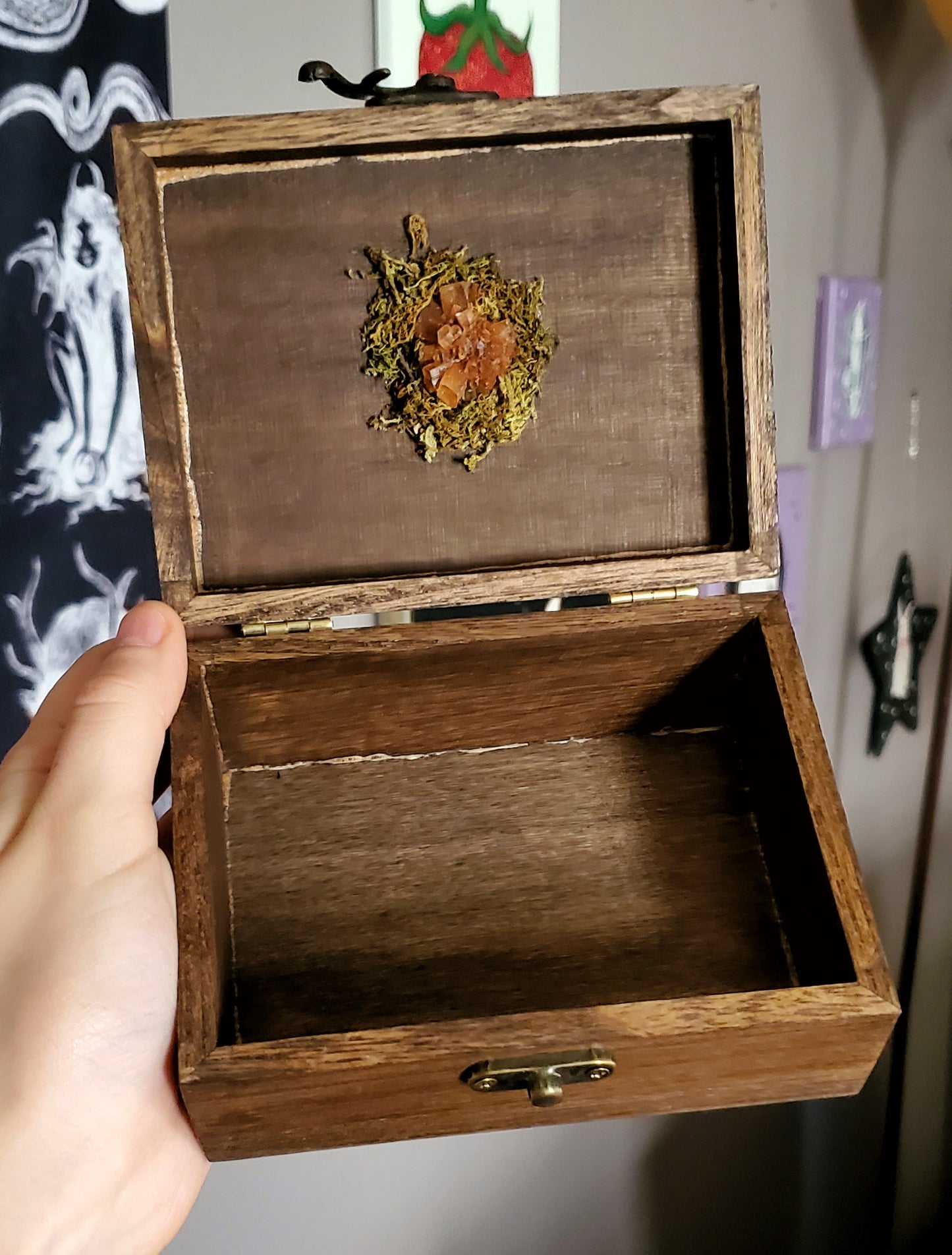 Wrinkled Peach Mushroom Hidden Gem Box