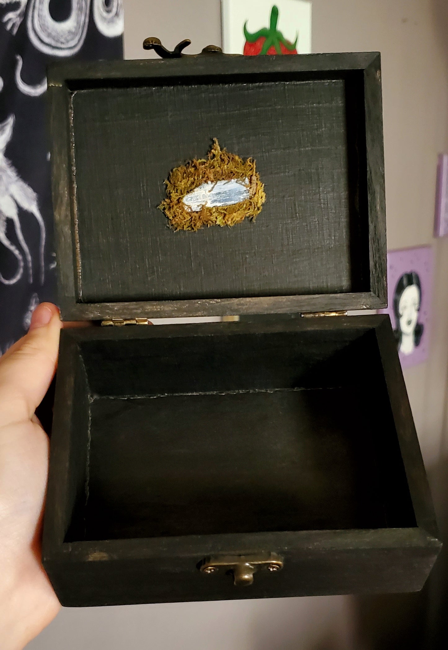 Cat Skull Hidden Gem Box