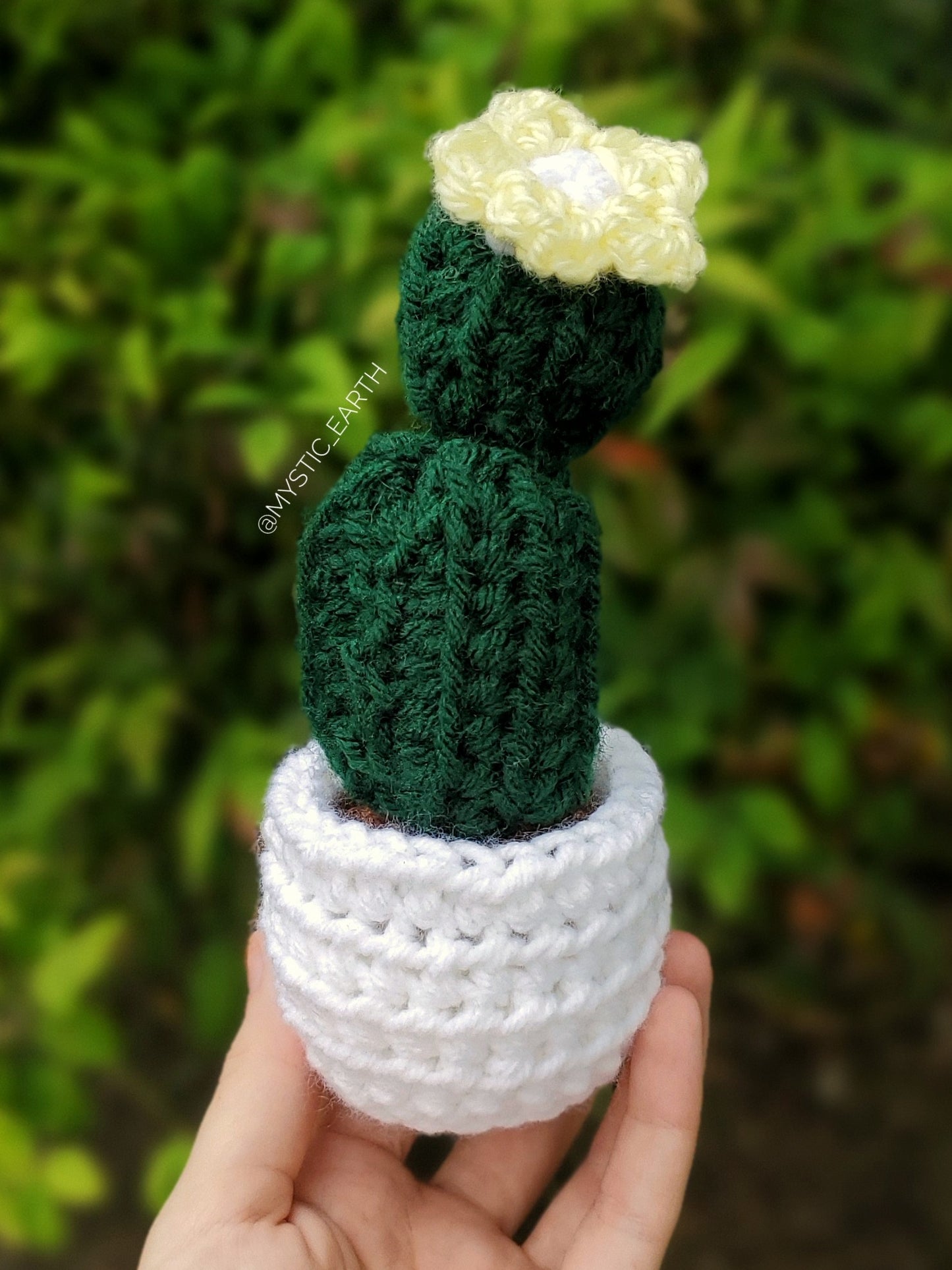 Crochet Barrel Cactus