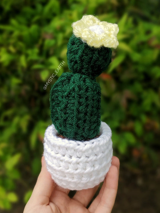 Crochet Barrel Cactus