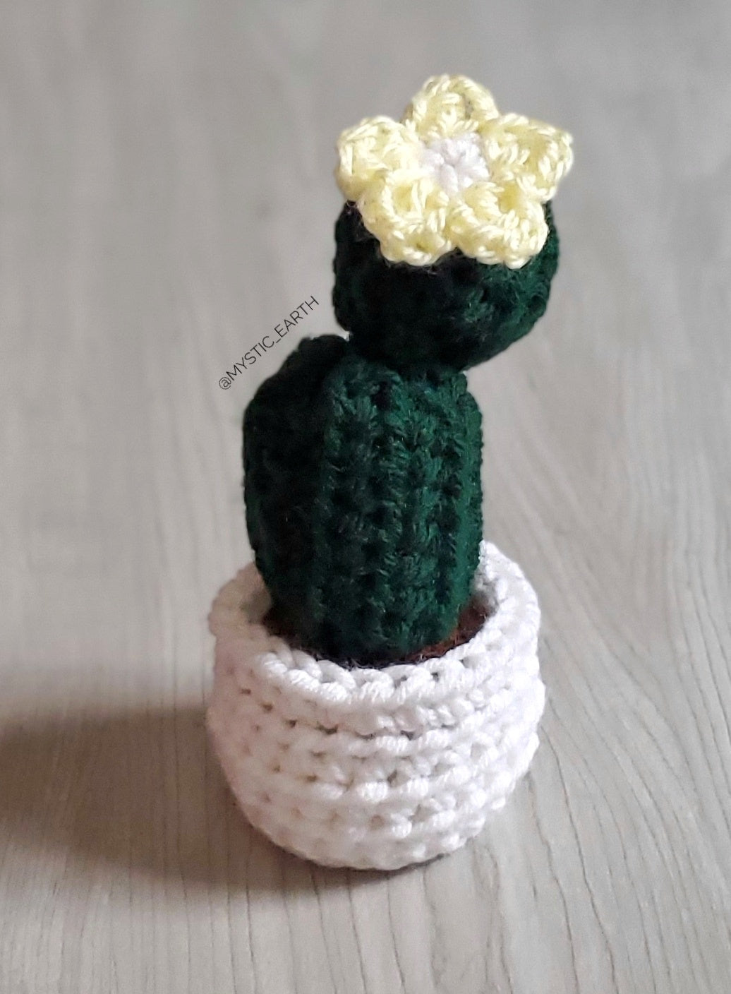 Crochet Barrel Cactus