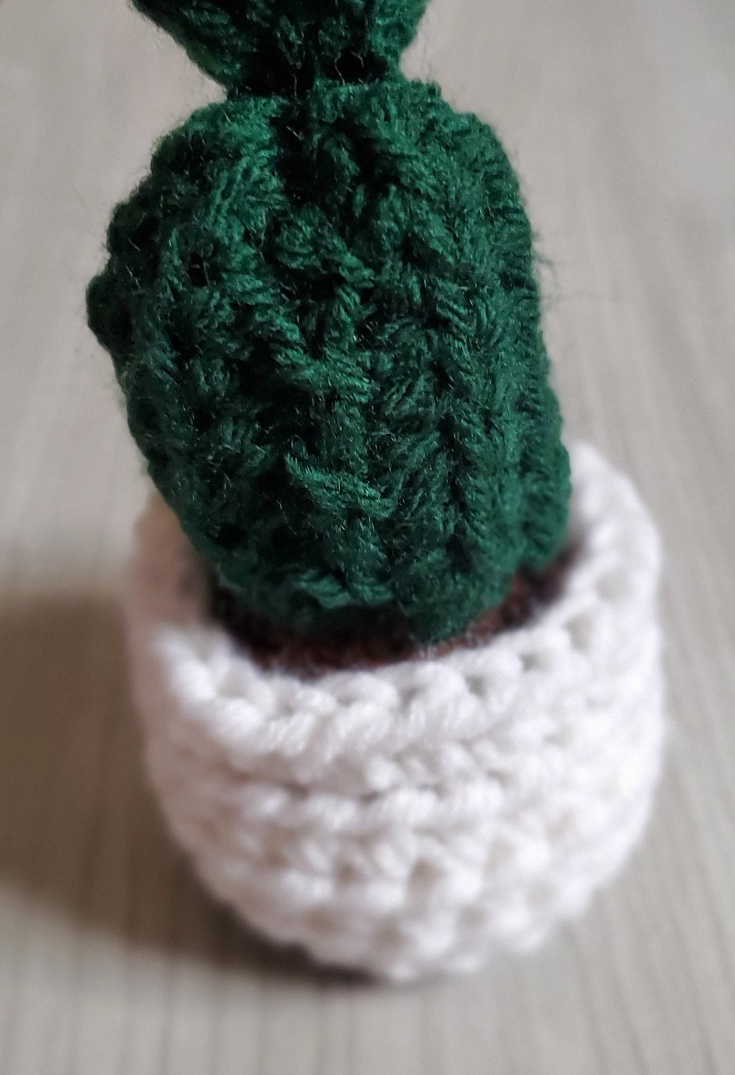 Crochet Barrel Cactus