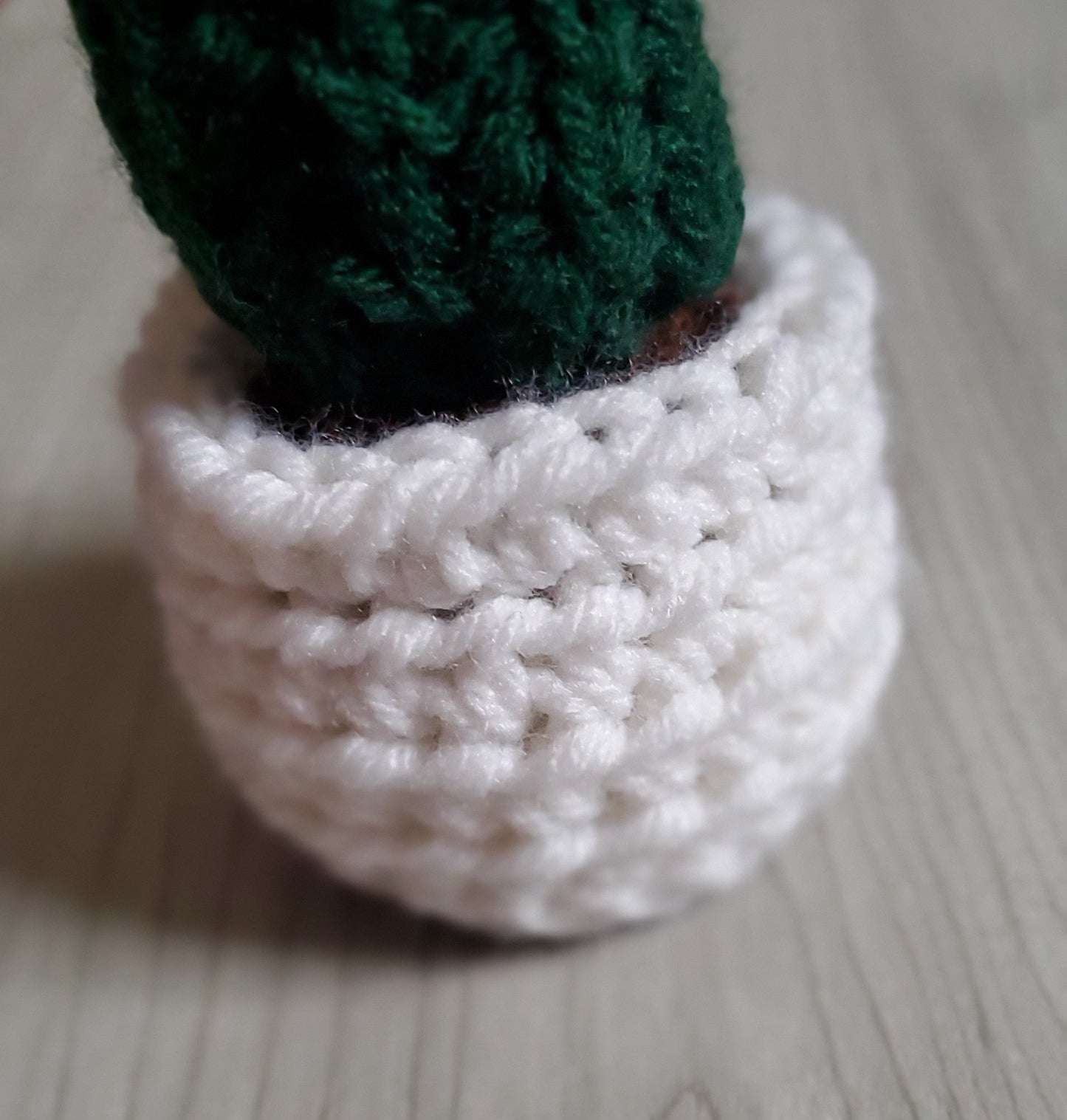 Crochet Barrel Cactus