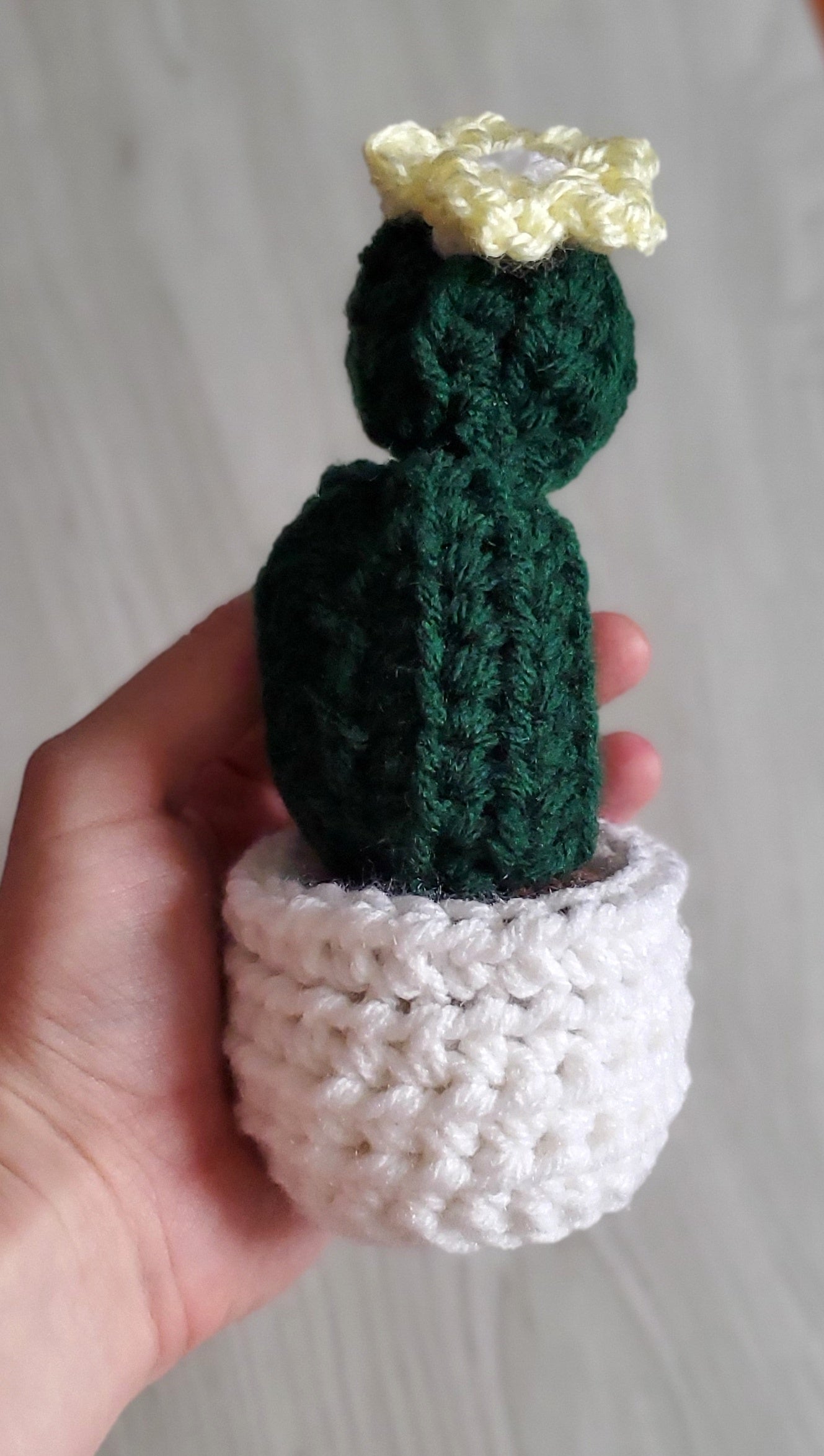 Crochet Barrel Cactus