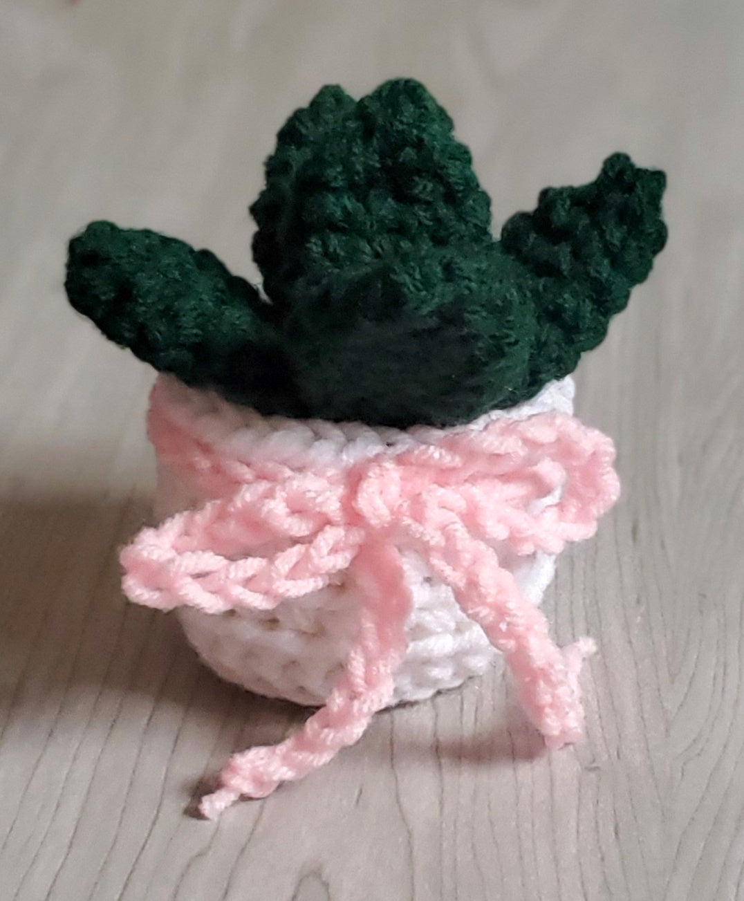 Crochet Paddle Succulent