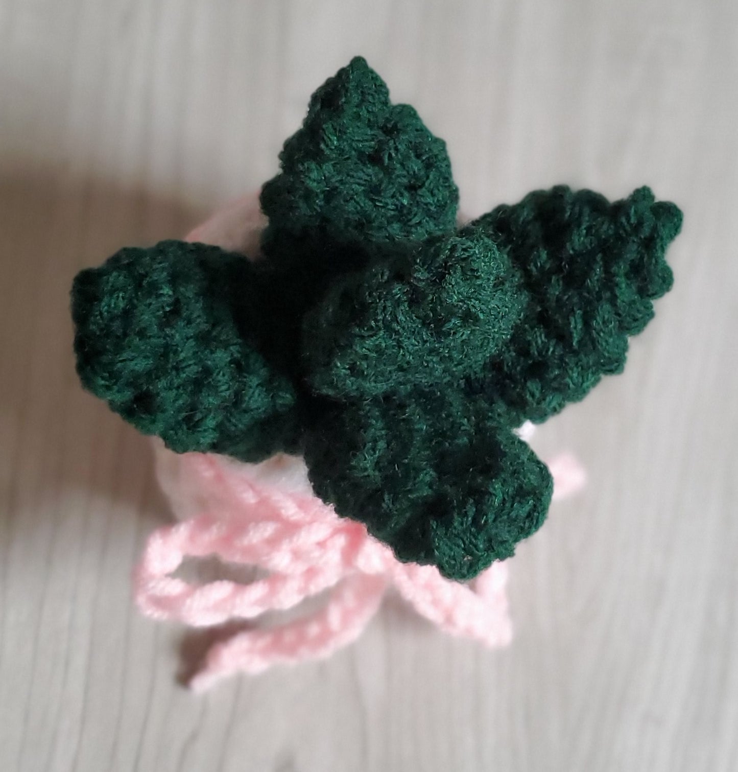 Crochet Paddle Succulent