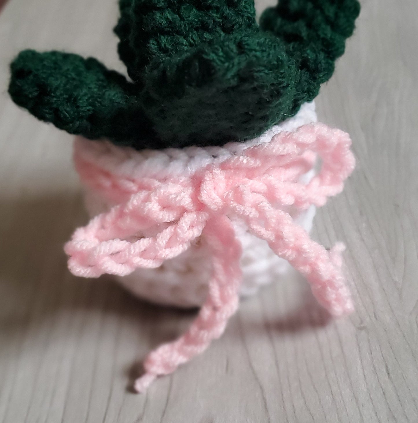 Crochet Paddle Succulent