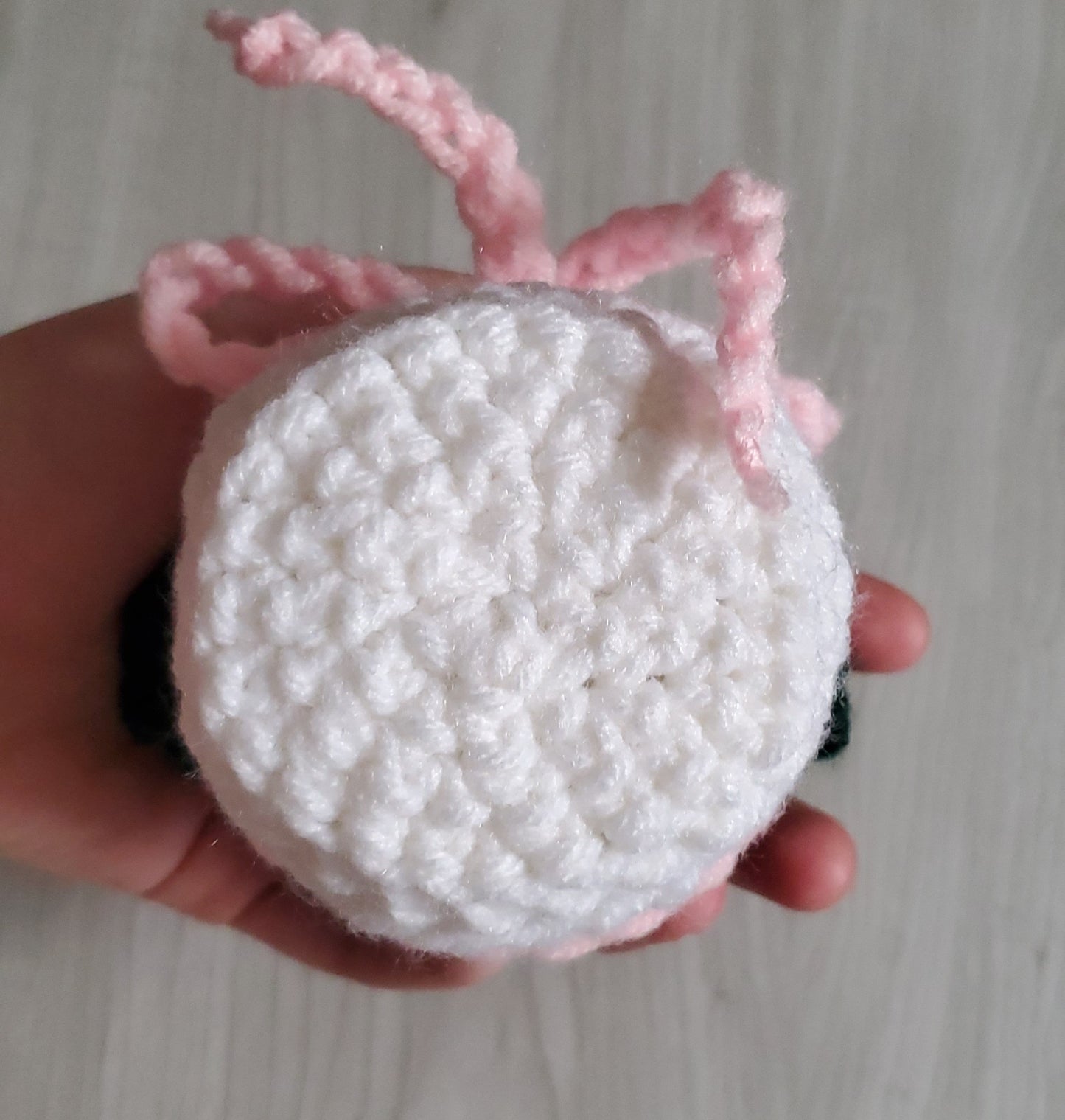 Crochet Paddle Succulent