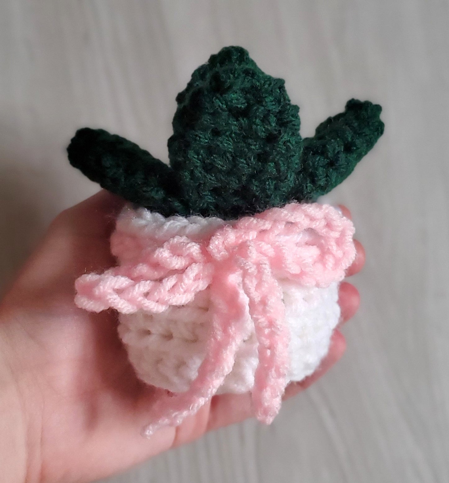 Crochet Paddle Succulent