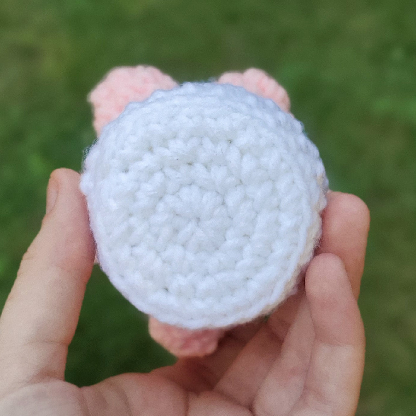 Pink Moonstone Succulent