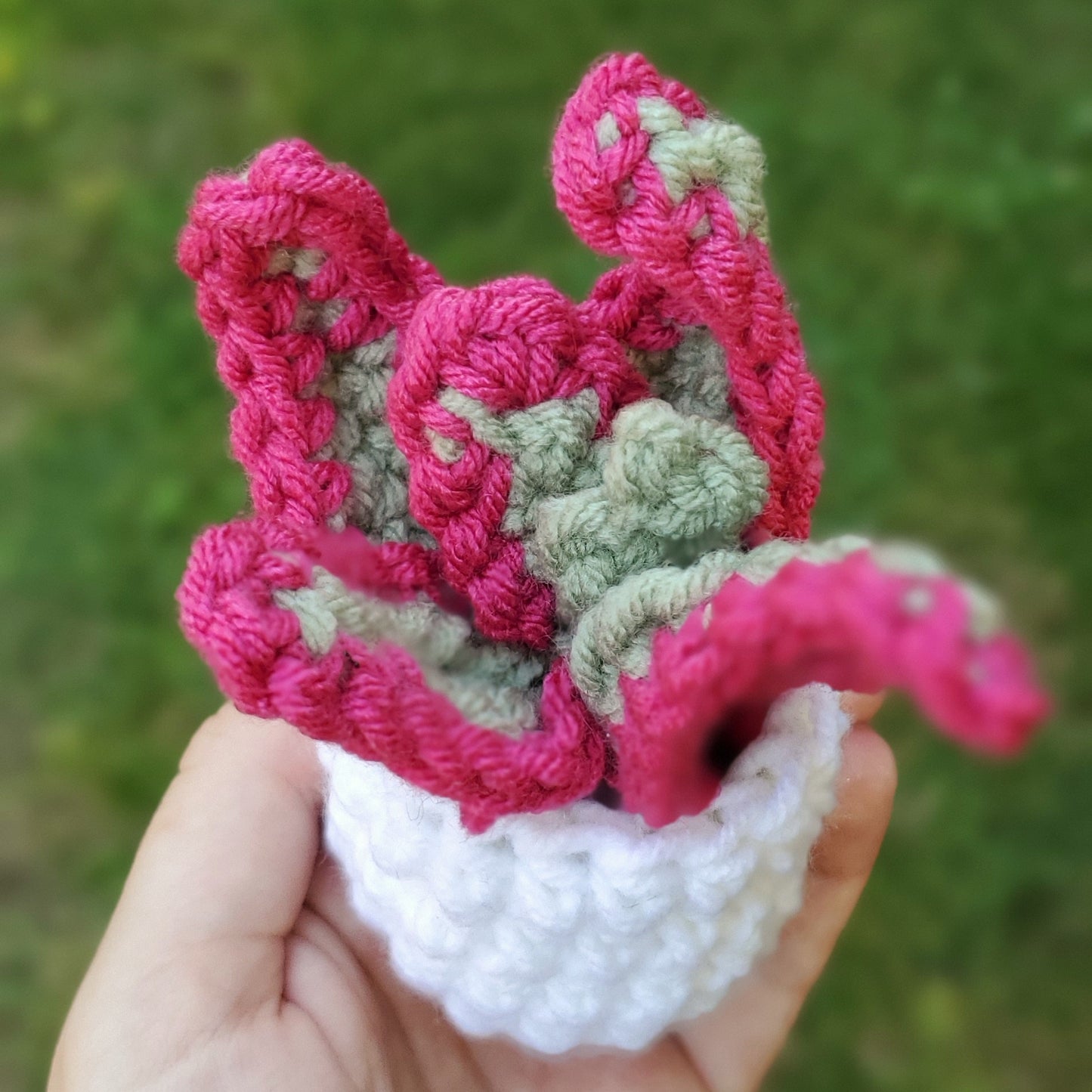 Crochet Pink Tip Aloe