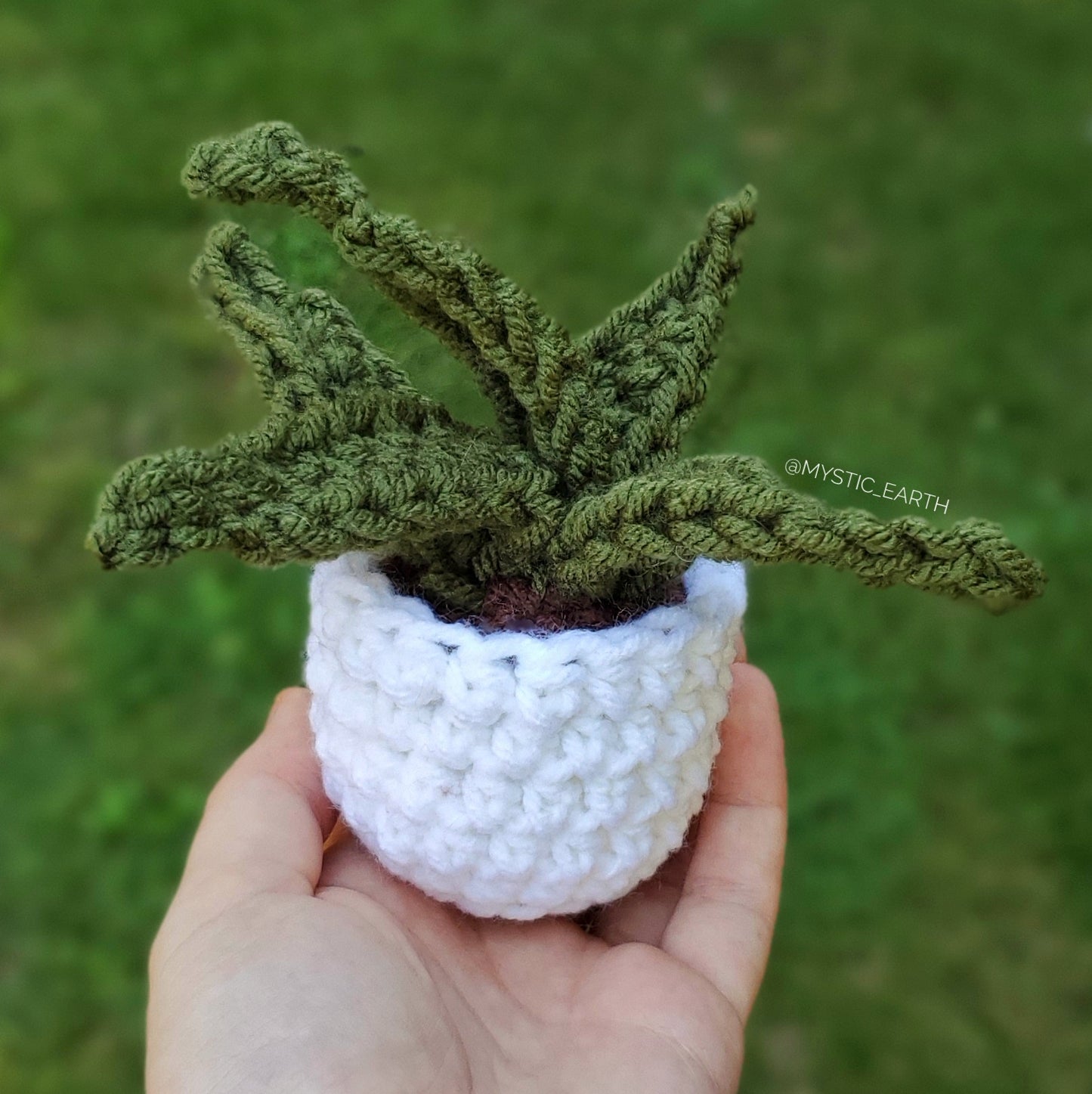 Crochet Aloe Vera