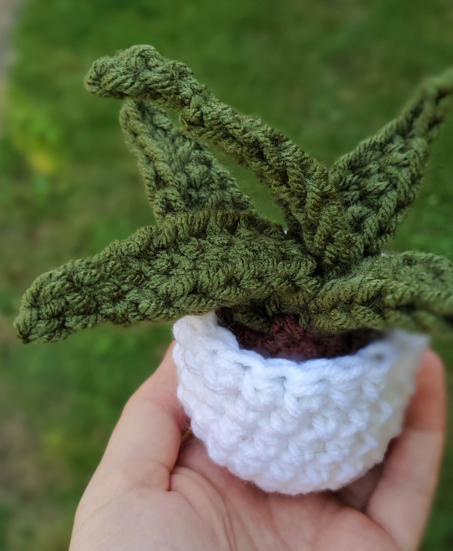 Crochet Aloe Vera