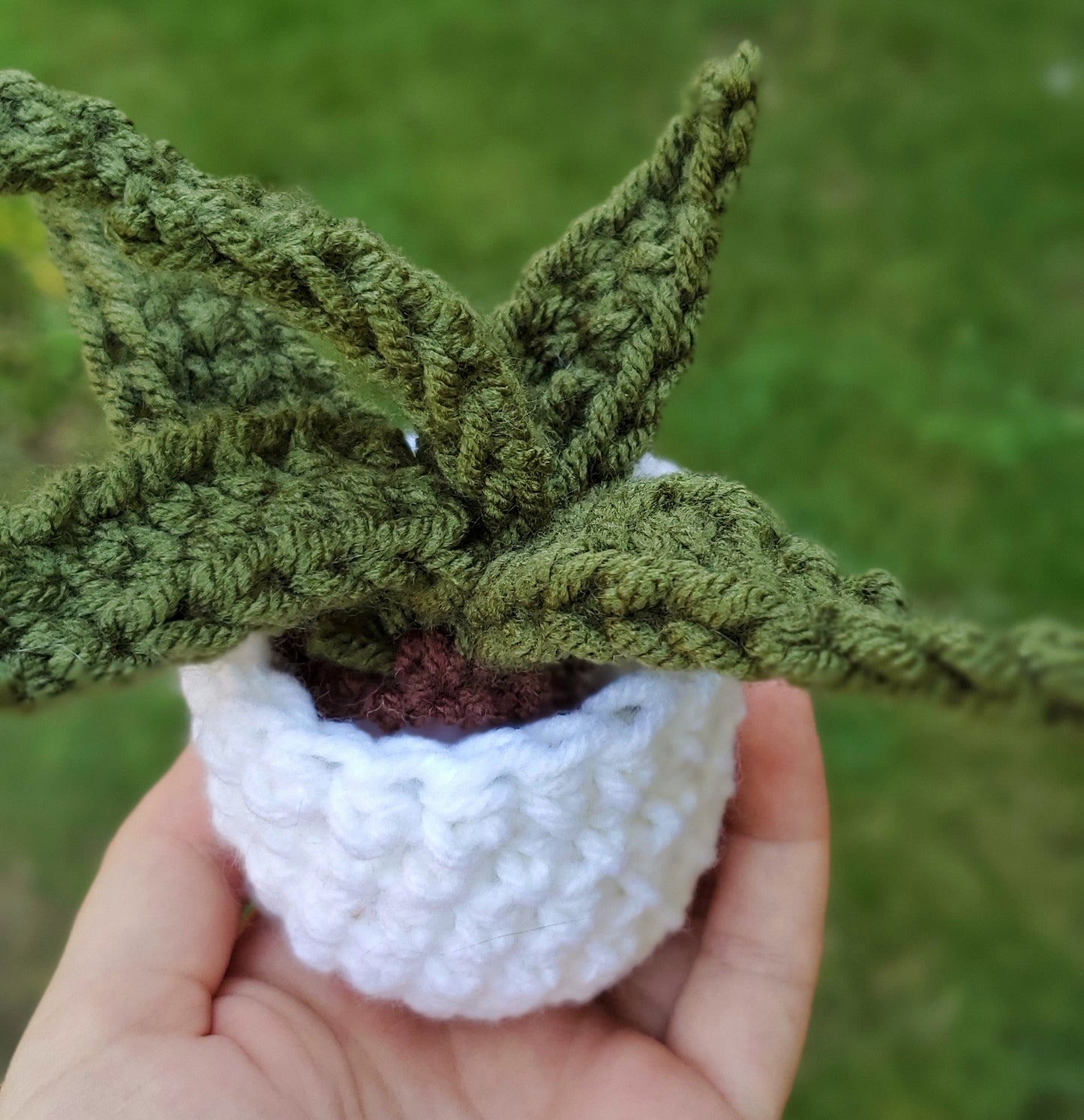 Crochet Aloe Vera