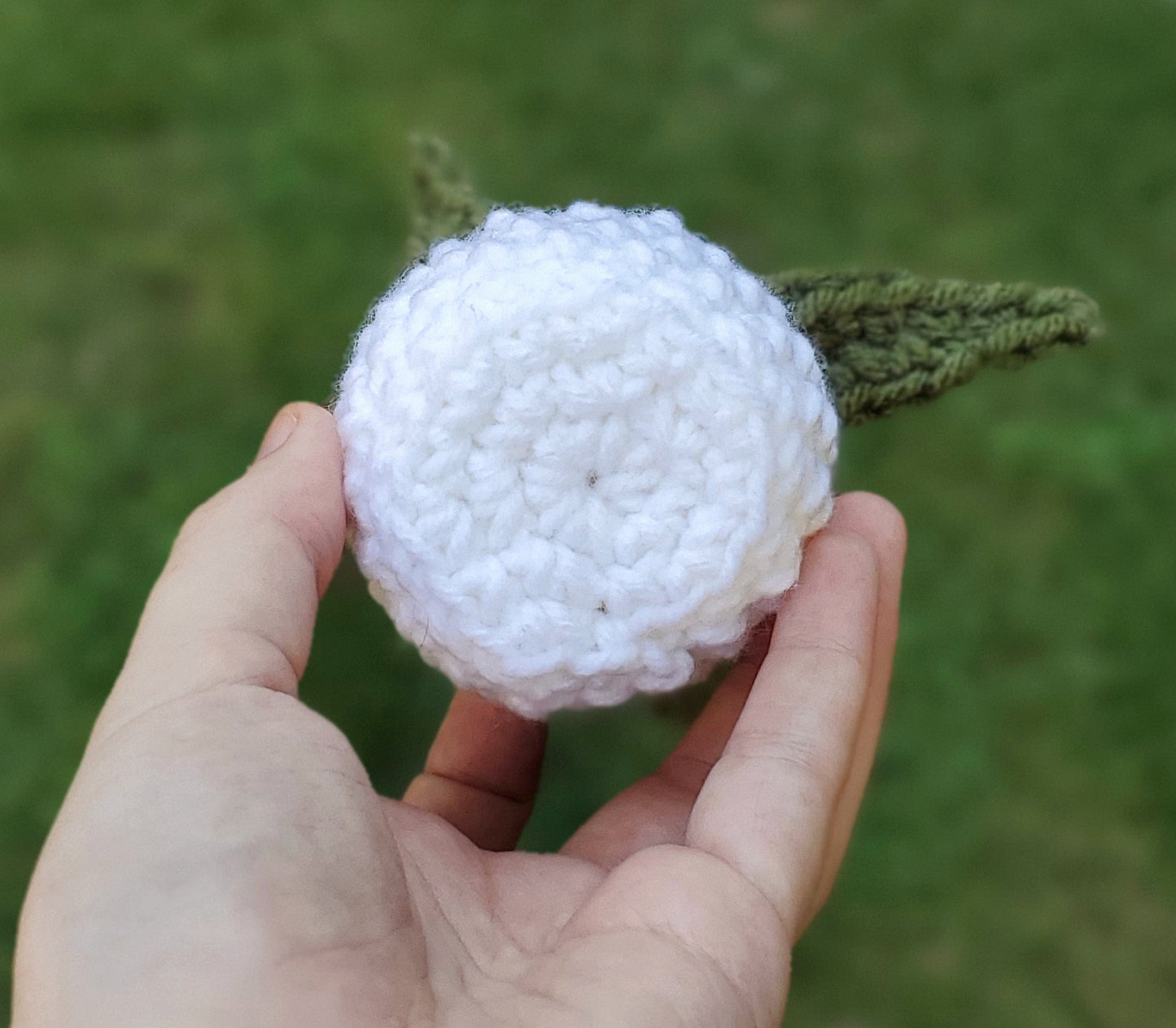 Crochet Aloe Vera