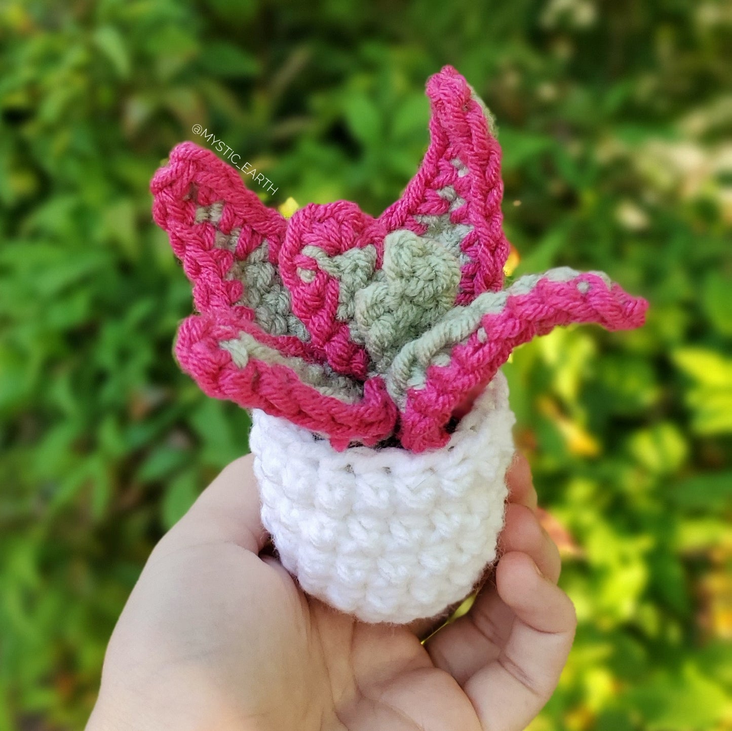 Crochet Pink Tip Aloe