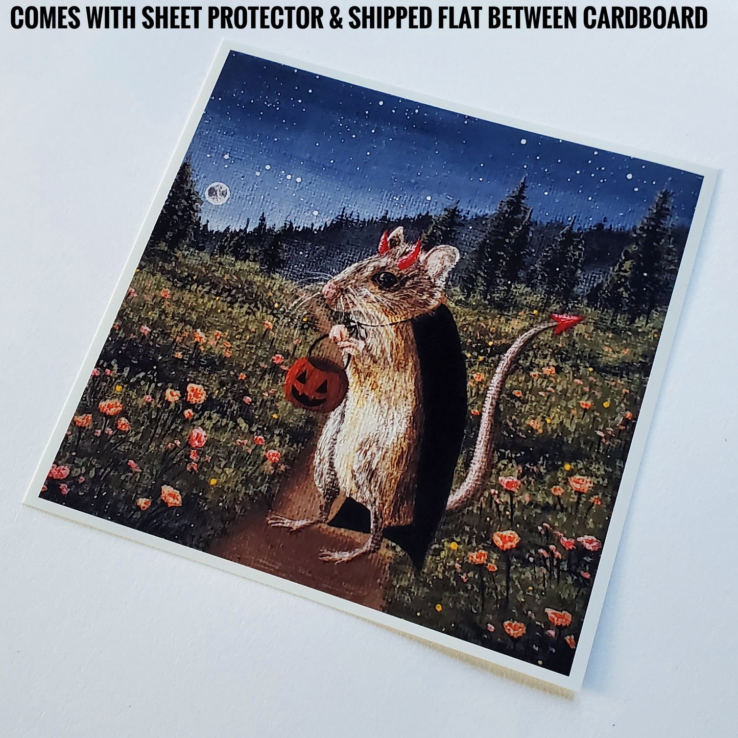 Albert the Wood Mouse Prints