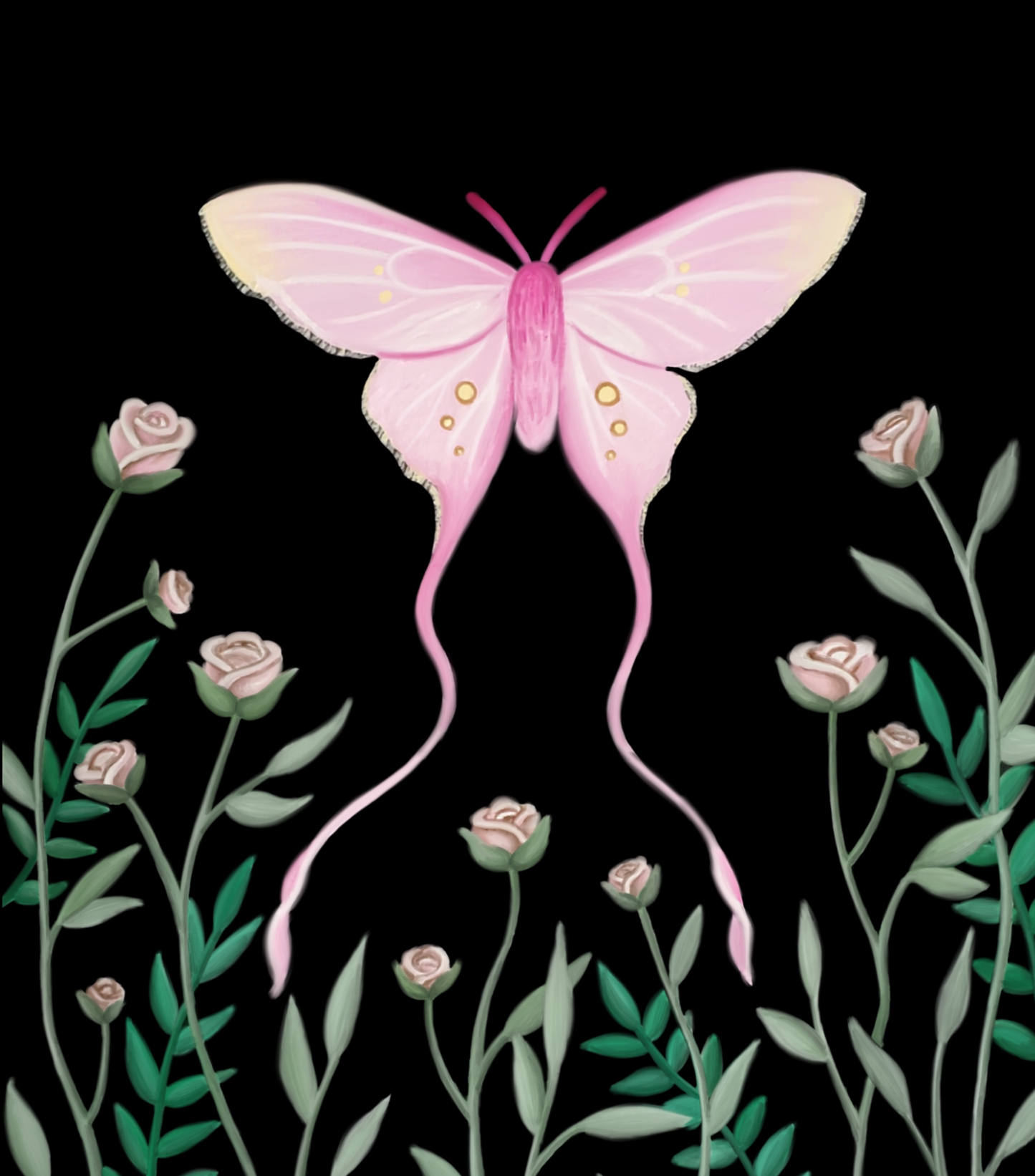 Pink Silk Moth Prints