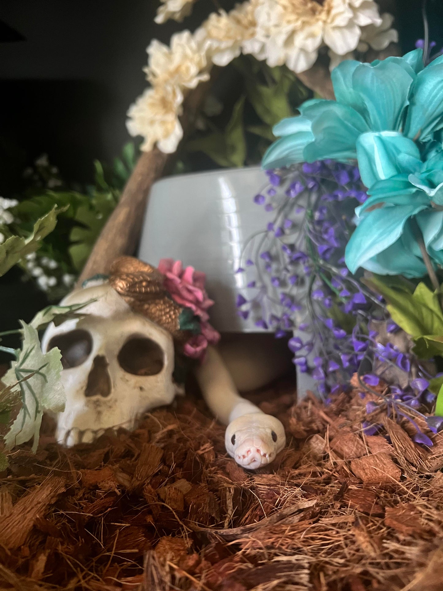 Custom Pet Portraits for Diana