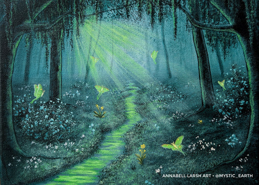 Return to the Light Prints