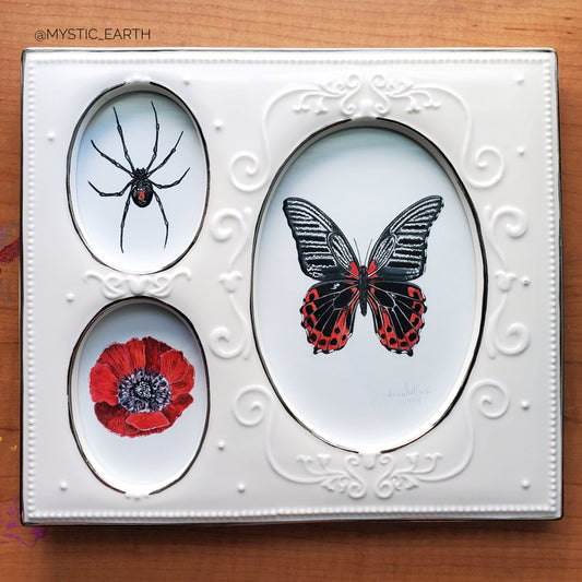 Black Widow & Butterfly Drawing in Ceramic Frame