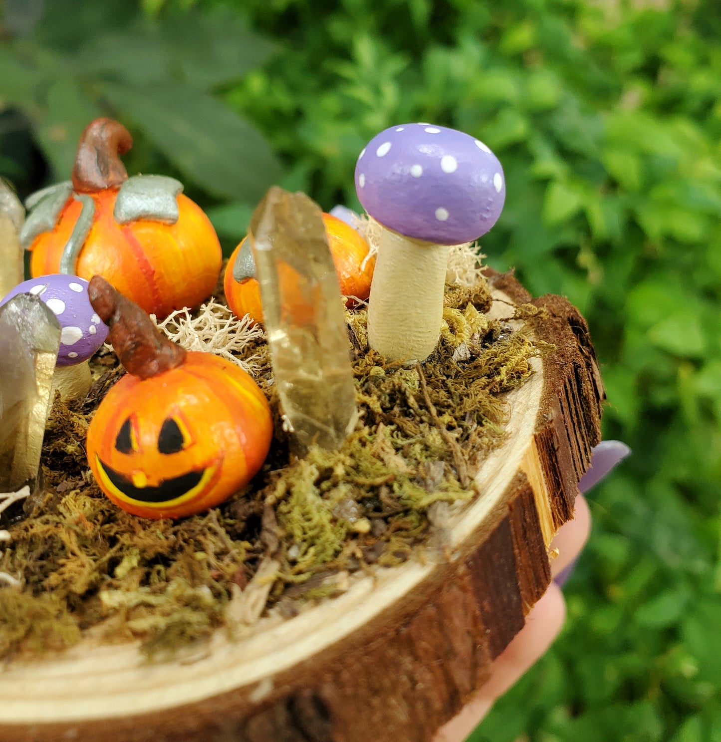 Purple Mushroom & Pumpkin Garden