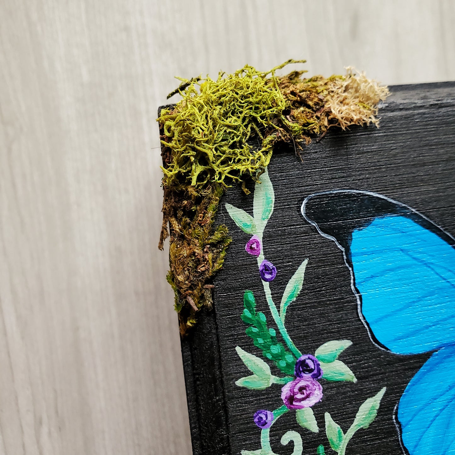 Blue Morpho Butterfly Hidden Gem Box