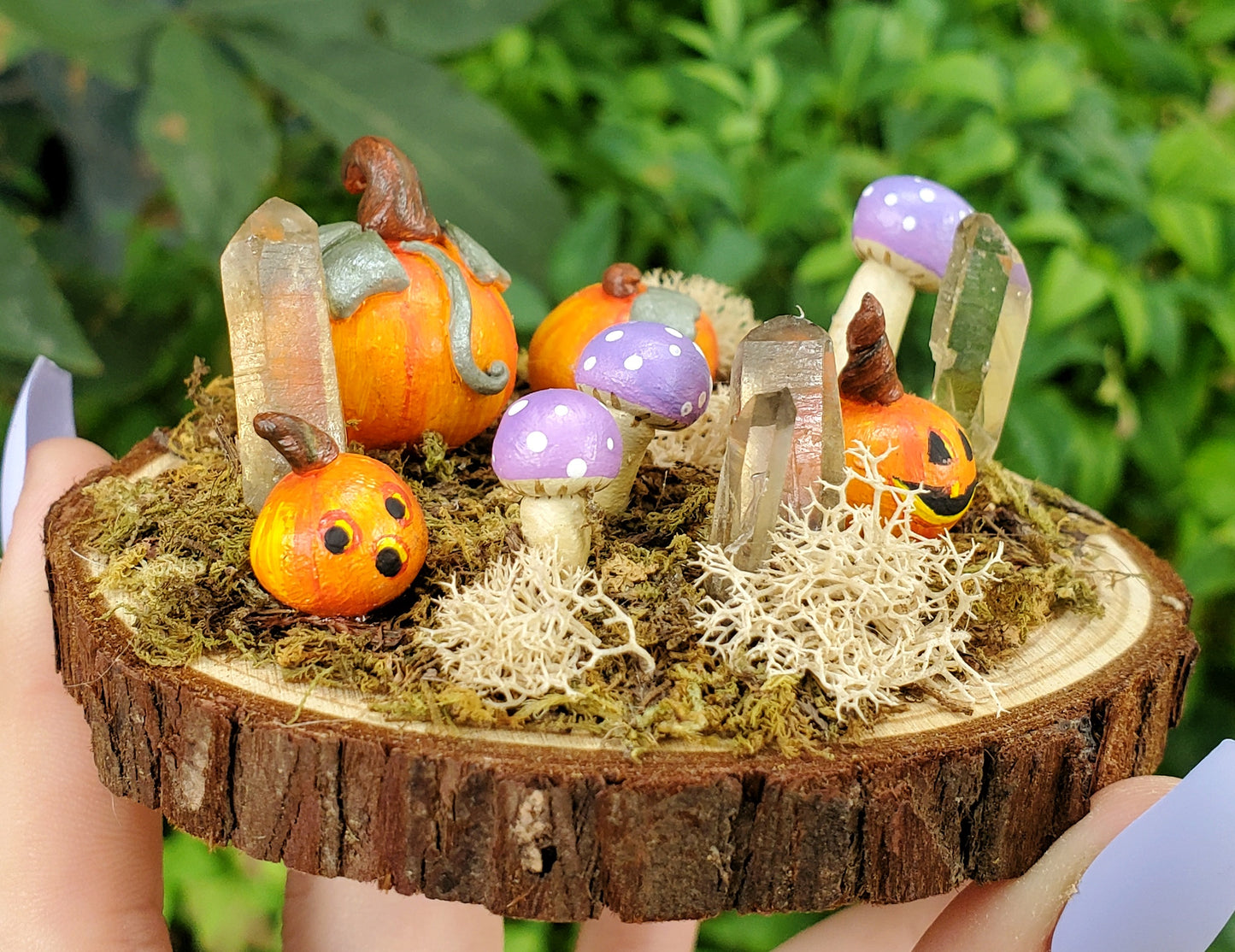 Purple Mushroom & Pumpkin Garden