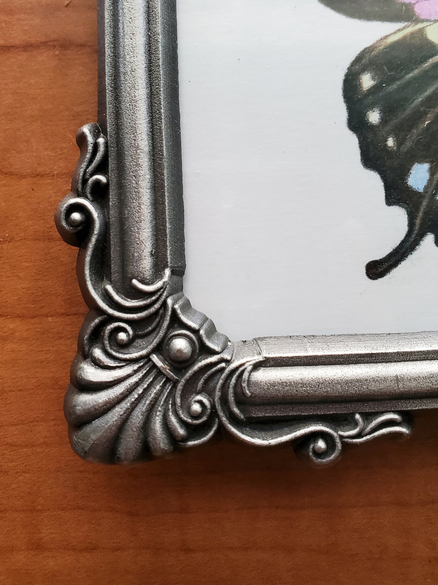 Butterfly Drawing in Vintage Frame