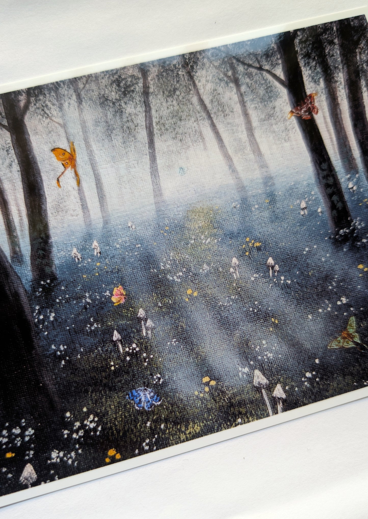 Metamorphosis Prints