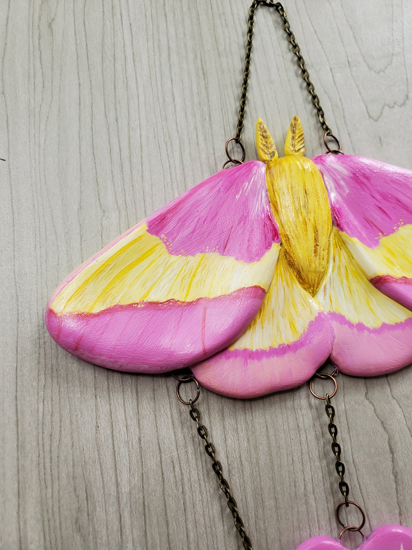 Rosy Maple Moth Wall Hanging