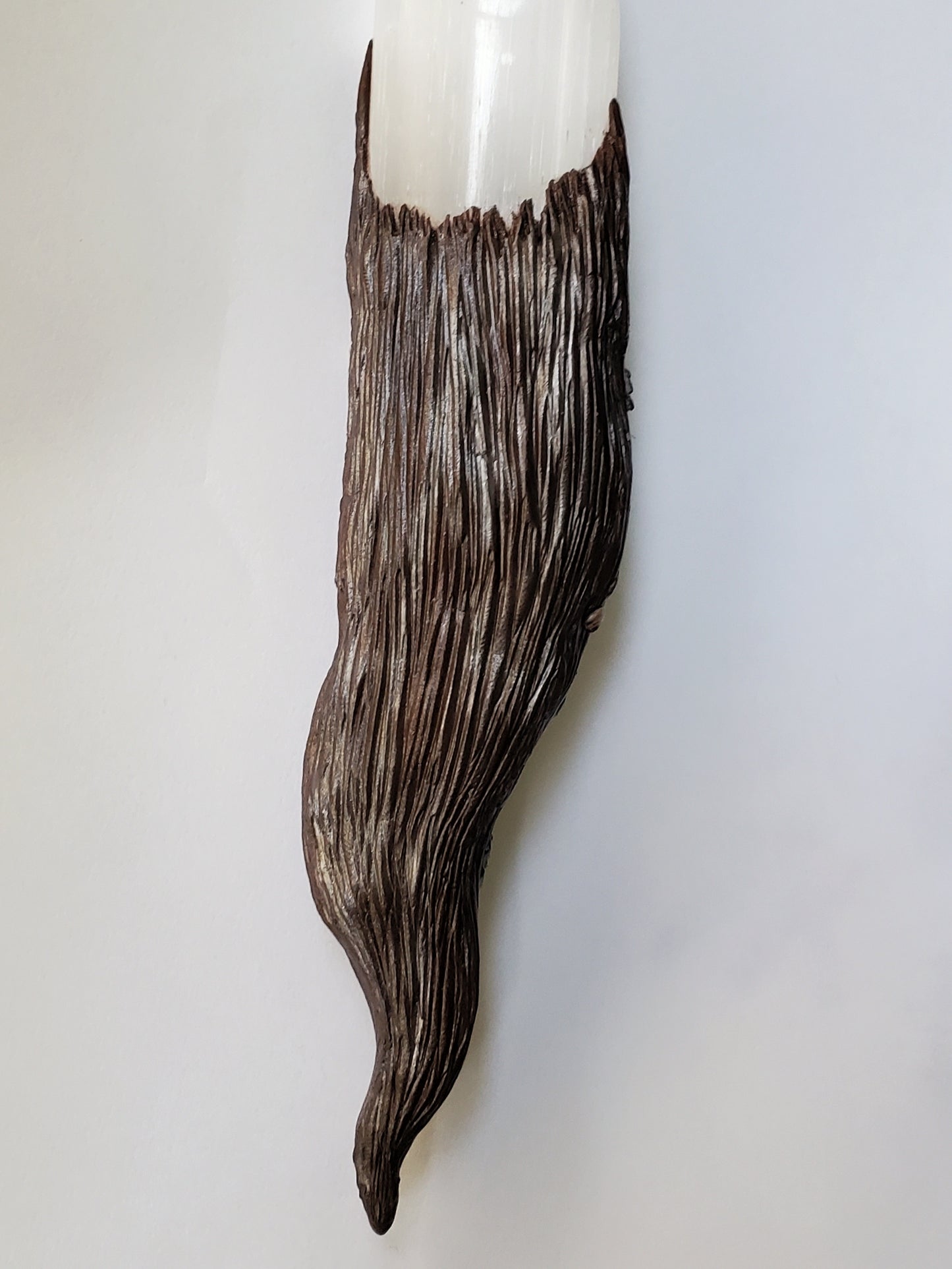 Back view, bare tree branch