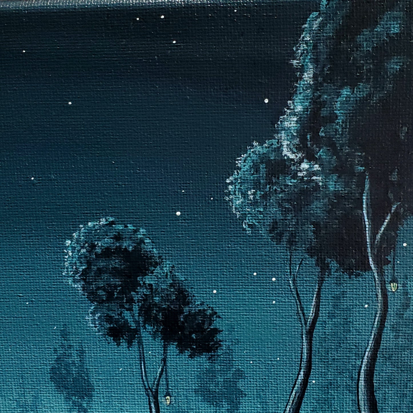 Close up of stars in sky and tree tops. Left hand top corner
