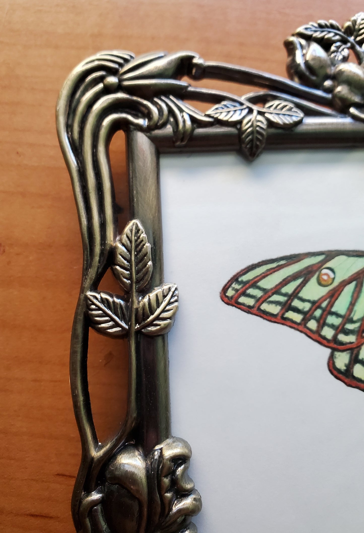 Moon Moths Drawing in Vintage Rose Frame