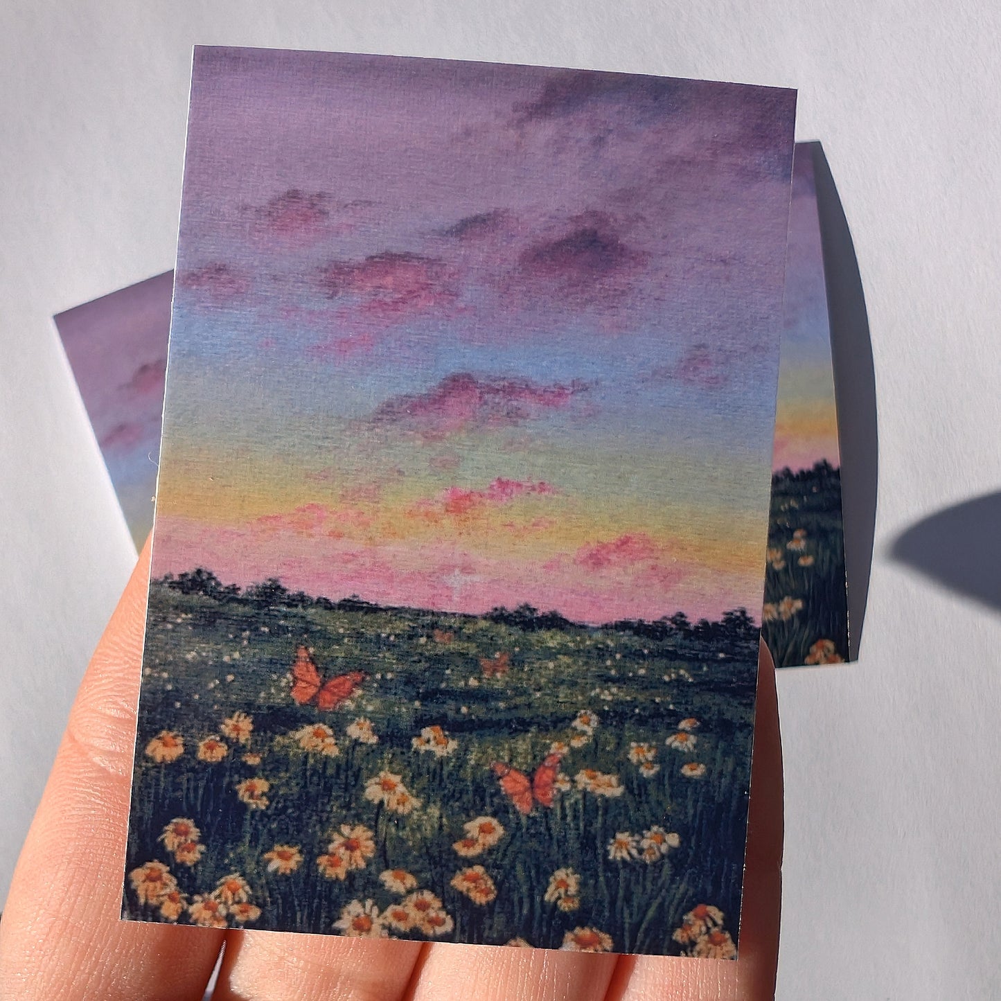 Monarch Field Stickers 3"x2"