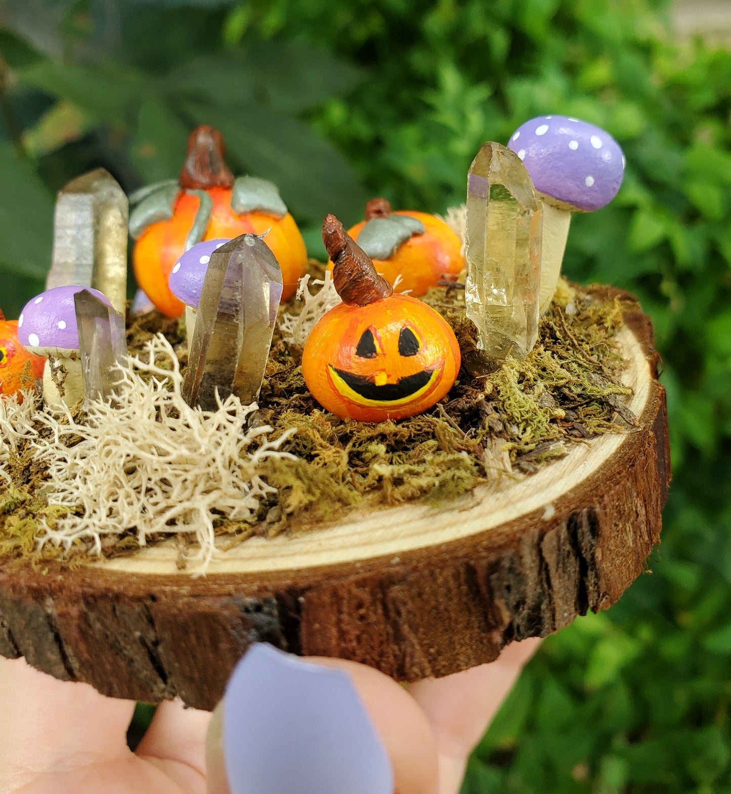 Purple Mushroom & Pumpkin Garden