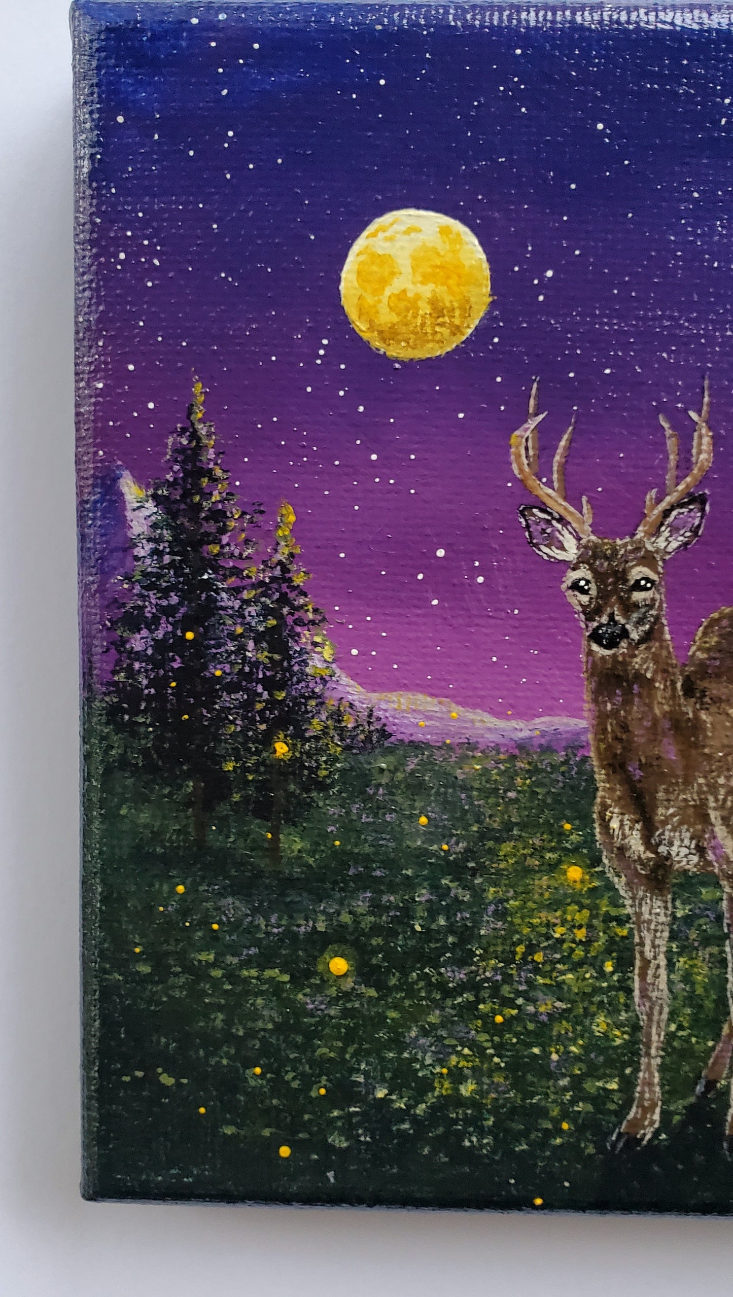 White Tailed Deer Painting (5"x5")