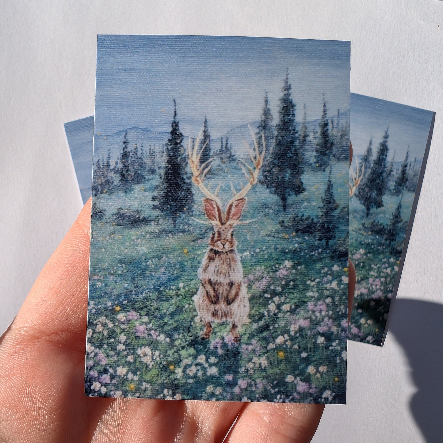 Jackalope Stickers 3"x2"