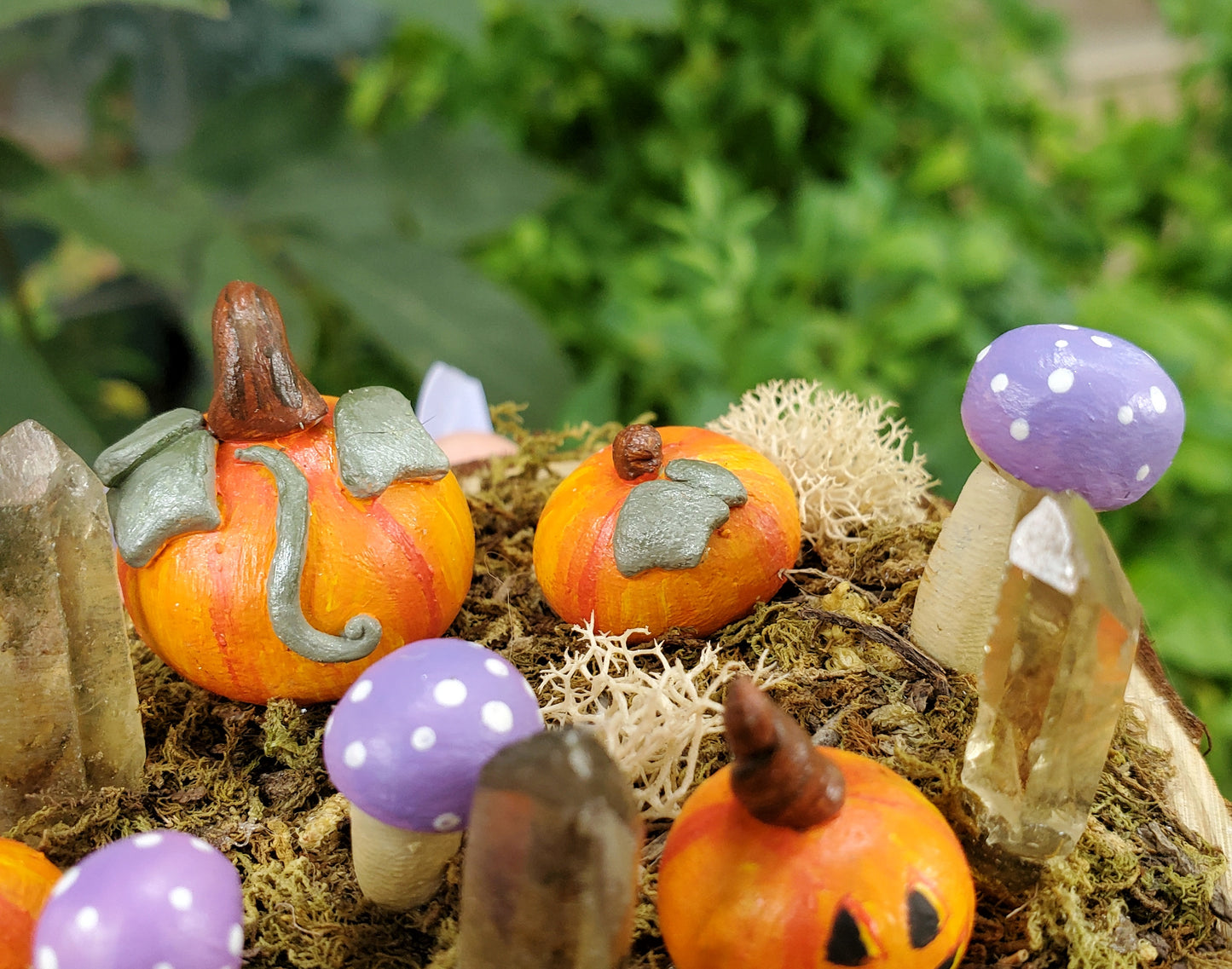 Purple Mushroom & Pumpkin Garden