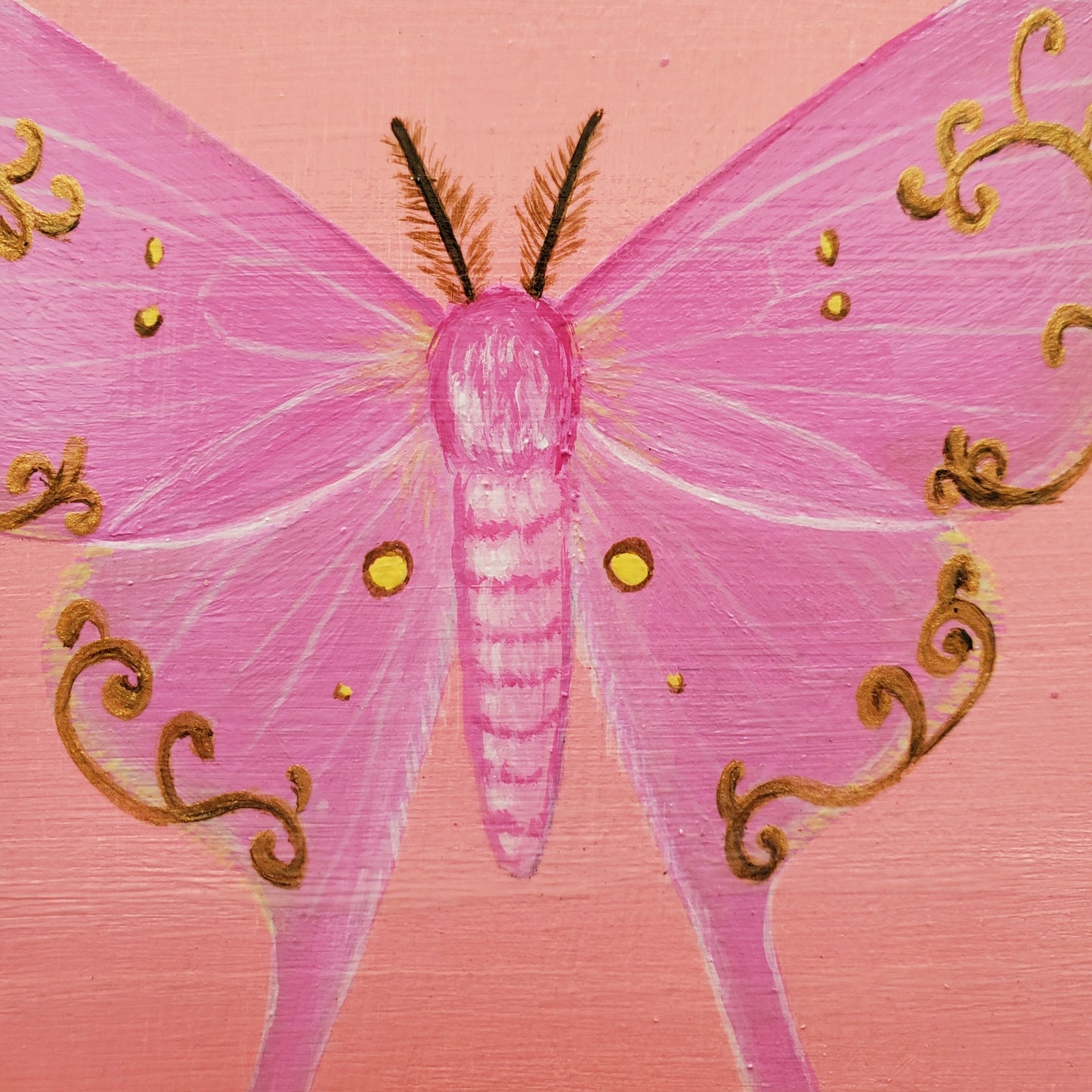 Coquette Pink Silk Moth Painting