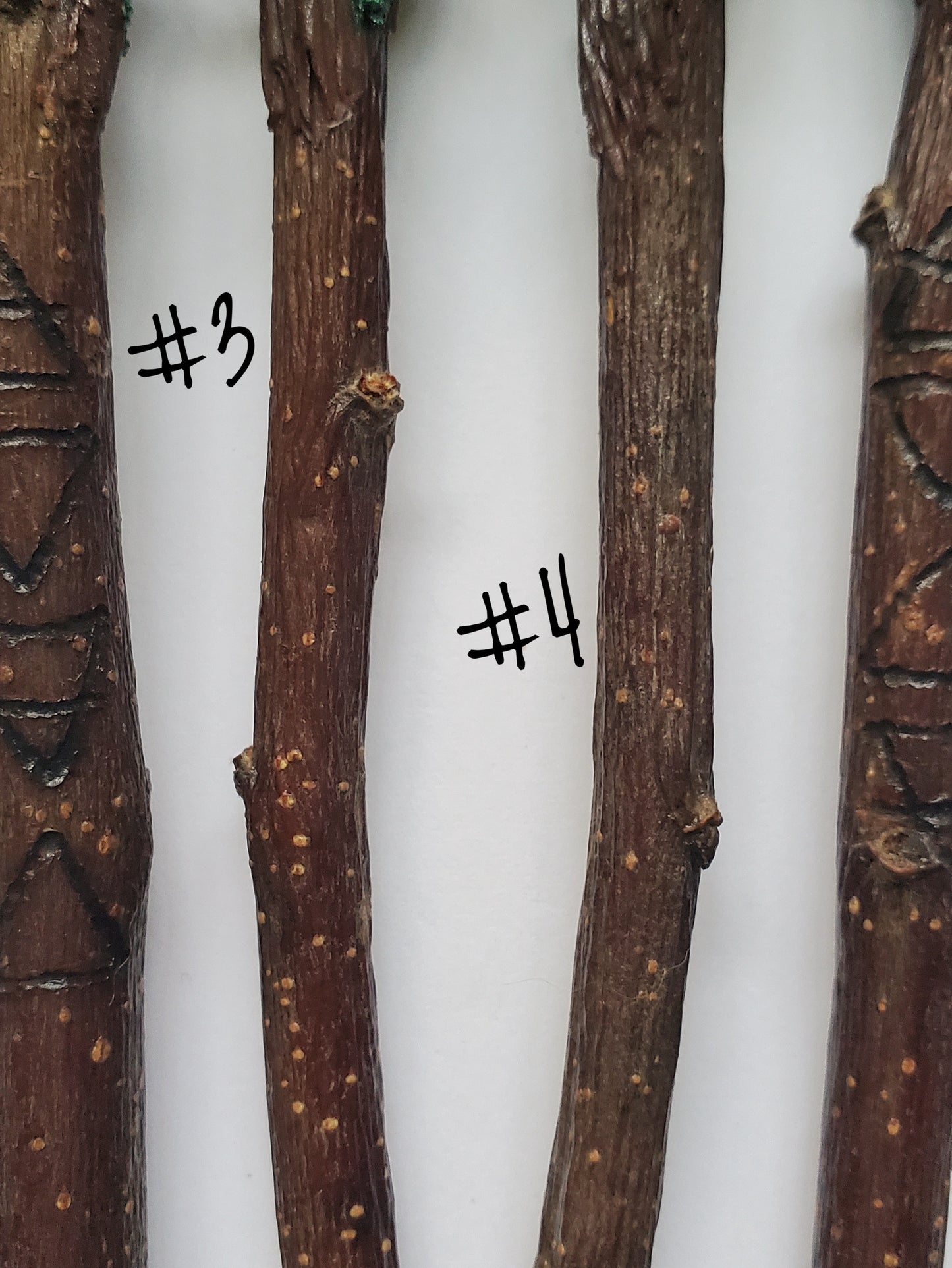 Apple Wood Garnet & Aragonite Crystal Wands