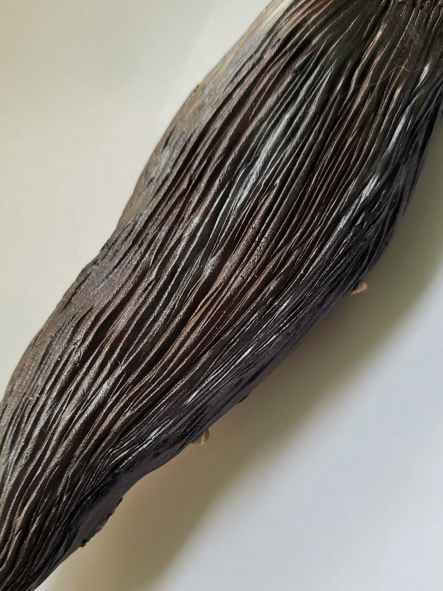 close up of back view