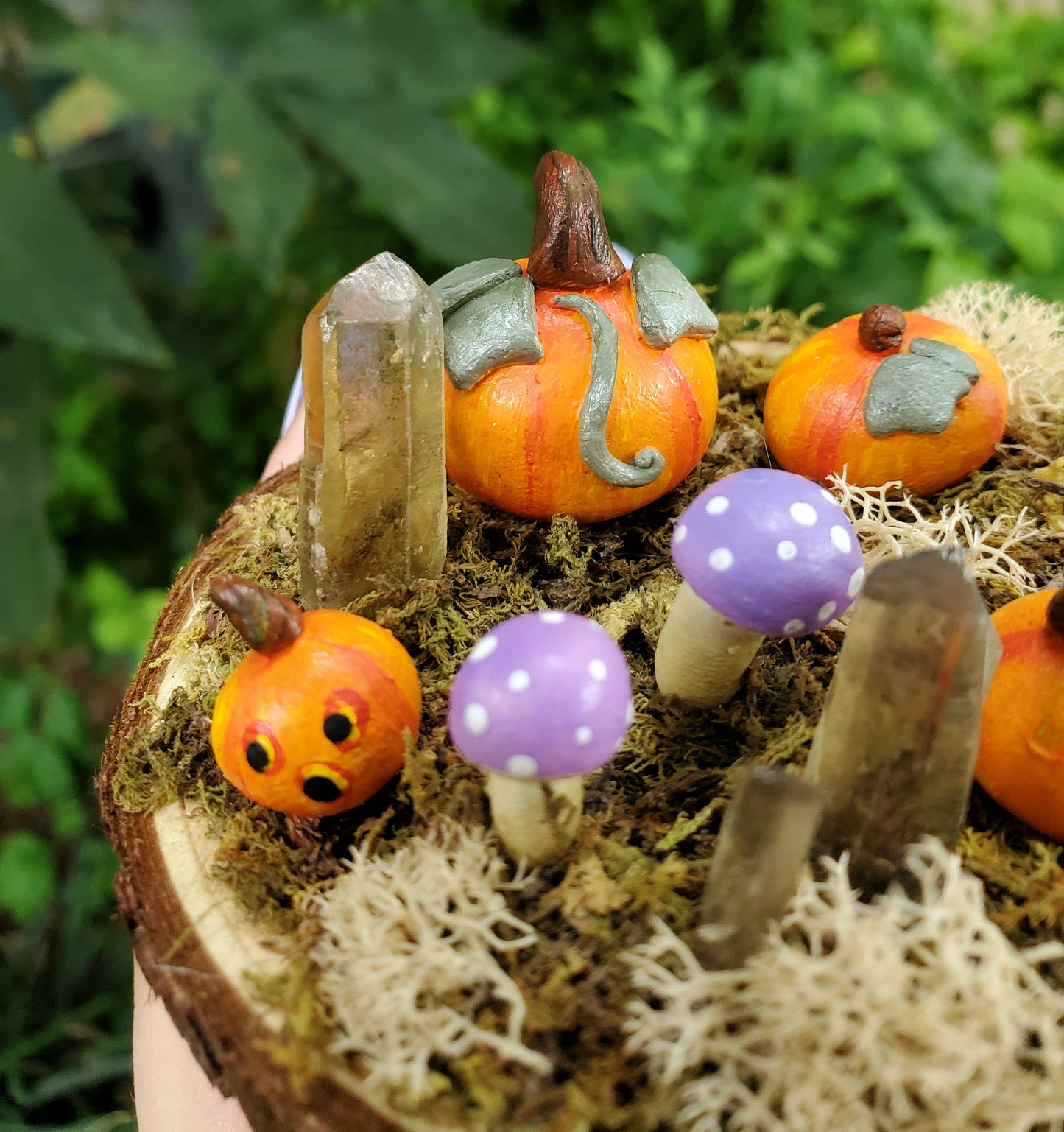 Purple Mushroom & Pumpkin Garden