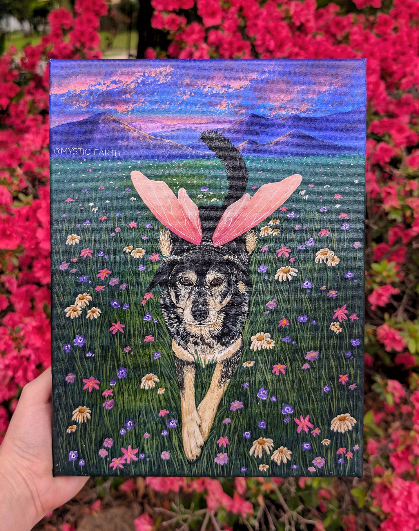 Custom Pet Portraits