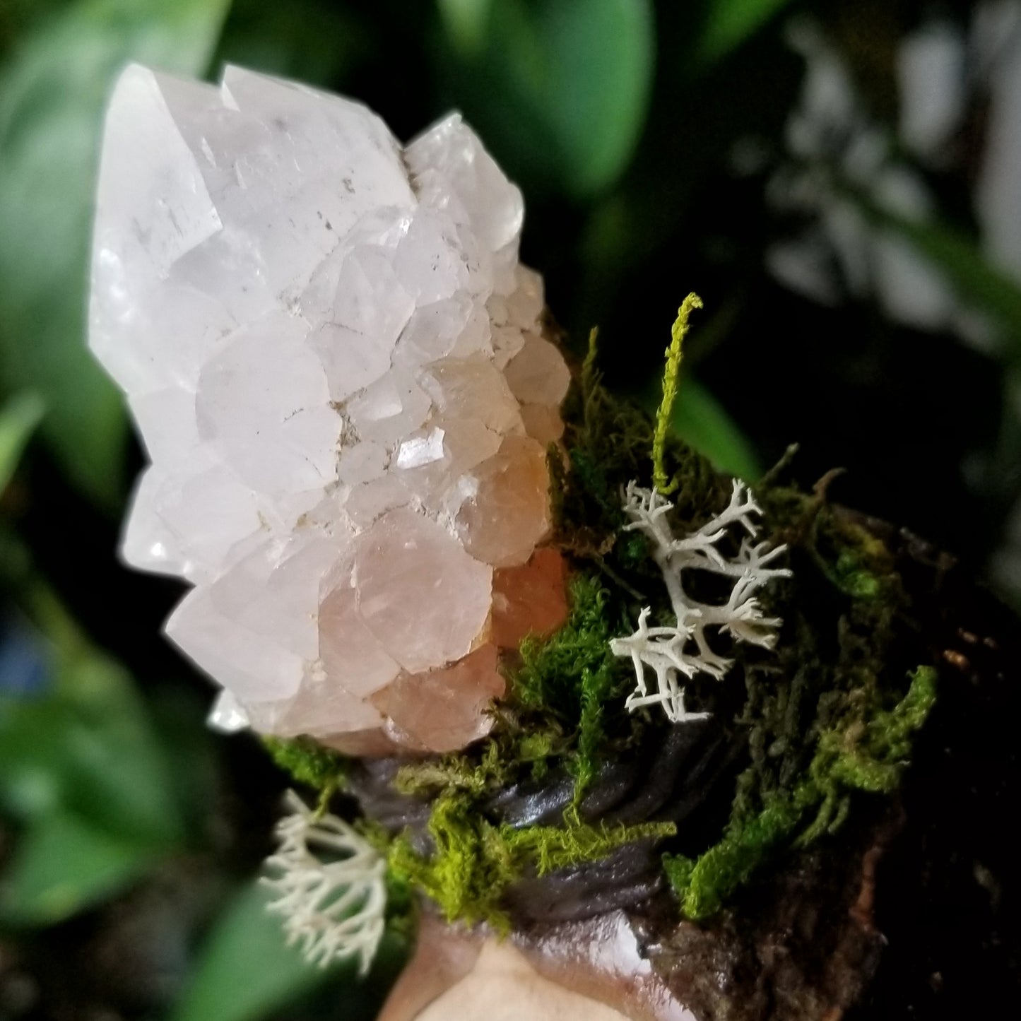 Elemental Luna Incense Burner with Spirit Quartz and Labradorite